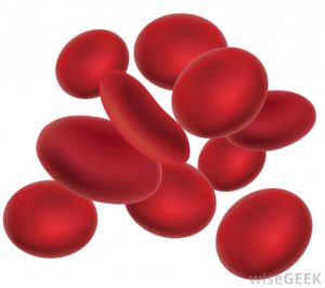 10-red-blood-cells